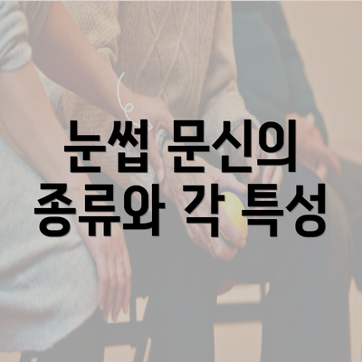 눈썹 문신의 종류와 각 특성