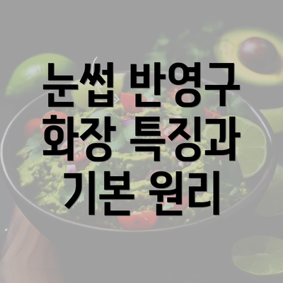 눈썹 반영구 화장 특징과 기본 원리