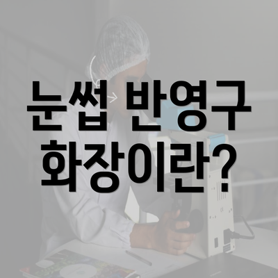 눈썹 반영구 화장이란?