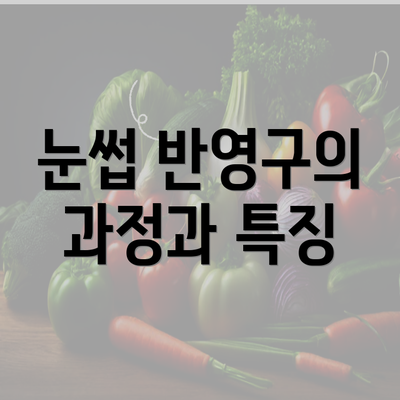 눈썹 반영구의 과정과 특징