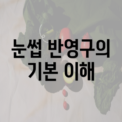 눈썹 반영구의 기본 이해