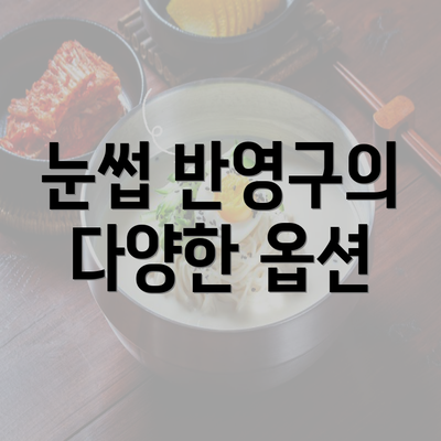 눈썹 반영구의 다양한 옵션