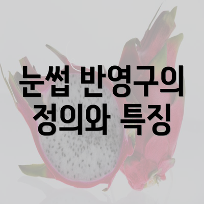 눈썹 반영구의 정의와 특징