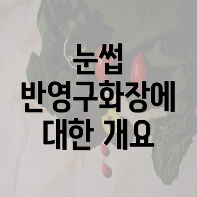 눈썹 반영구화장에 대한 개요