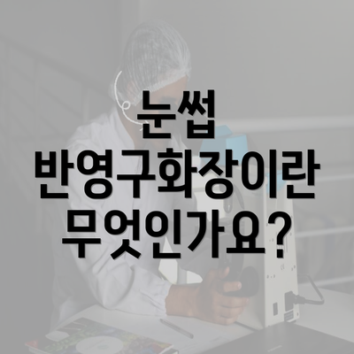 눈썹 반영구화장이란 무엇인가요?