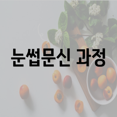 눈썹문신 과정