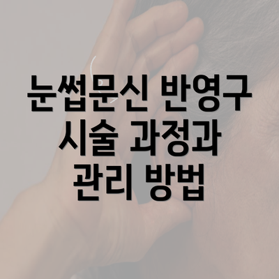 눈썹문신 반영구 시술 과정과 관리 방법