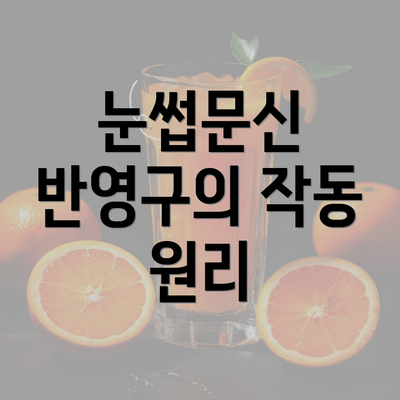 눈썹문신 반영구의 작동 원리