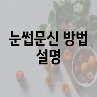 눈썹문신 방법 설명