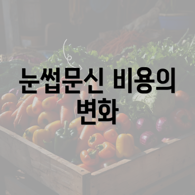 눈썹문신 비용의 변화