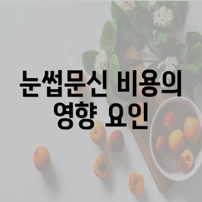 눈썹문신 비용의 영향 요인