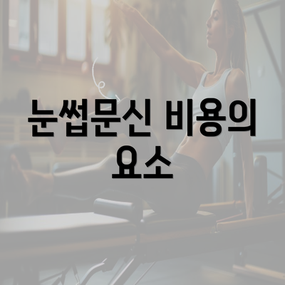 눈썹문신 비용의 요소