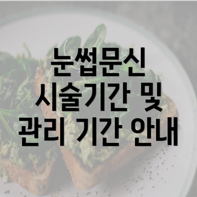 눈썹문신 시술기간 및 관리 기간 안내