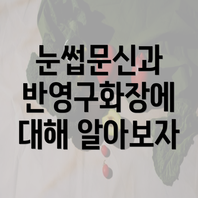 눈썹문신과 반영구화장에 대해 알아보자