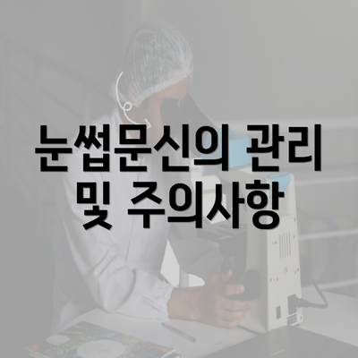 눈썹문신의 관리 및 주의사항