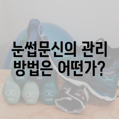 눈썹문신의 관리 방법은 어떤가?