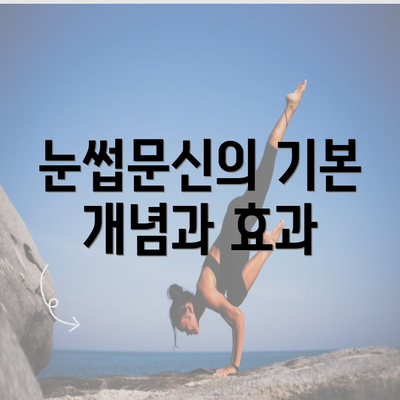 눈썹문신의 기본 개념과 효과