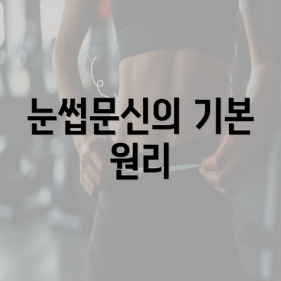 눈썹문신의 기본 원리