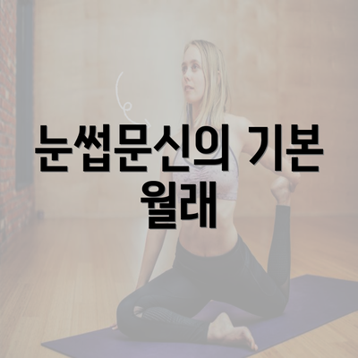 눈썹문신의 기본 월래