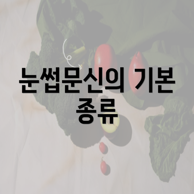 눈썹문신의 기본 종류