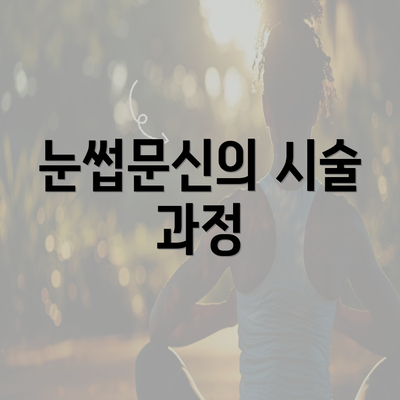 눈썹문신의 시술 과정