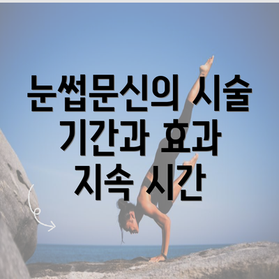 눈썹문신의 시술 기간과 효과 지속 시간