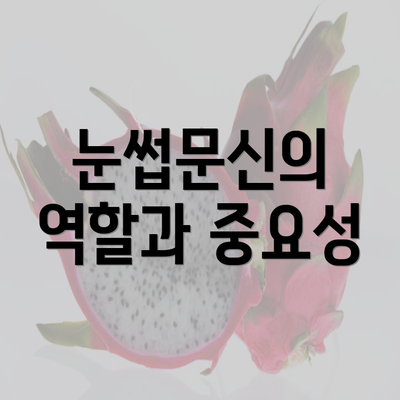 눈썹문신의 역할과 중요성