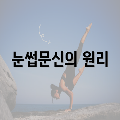 눈썹문신의 원리