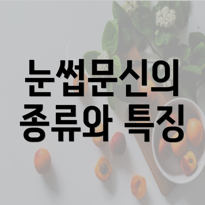 눈썹문신의 종류와 특징