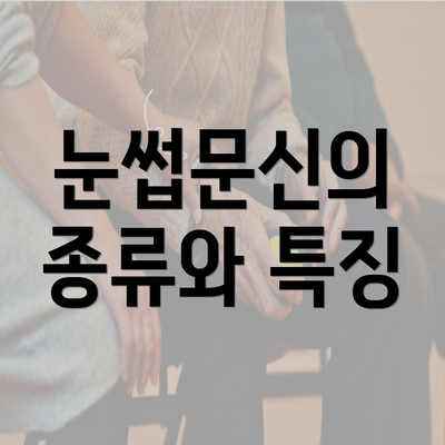 눈썹문신의 종류와 특징