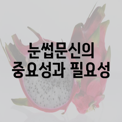 눈썹문신의 중요성과 필요성