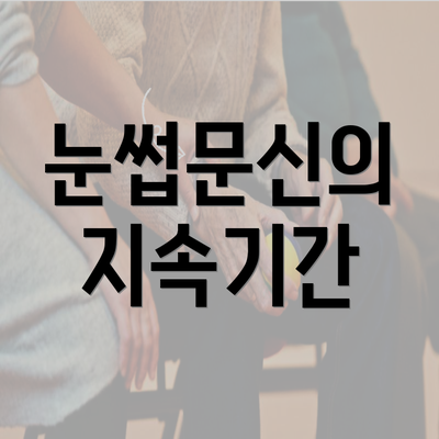 눈썹문신의 지속기간