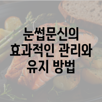 눈썹문신의 효과적인 관리와 유지 방법