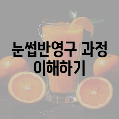 눈썹반영구 과정 이해하기