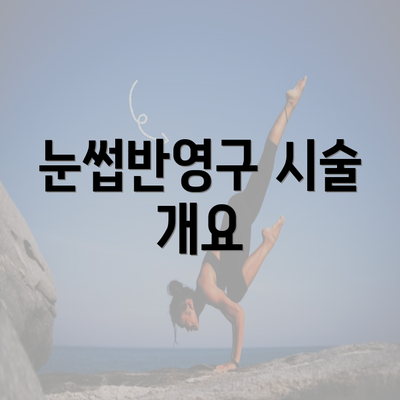 눈썹반영구 시술 개요