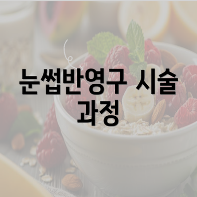 눈썹반영구 시술 과정