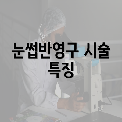 눈썹반영구 시술 특징