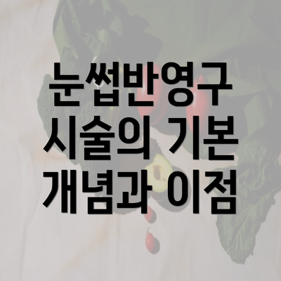 눈썹반영구 시술의 기본 개념과 이점