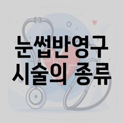 눈썹반영구 시술의 종류