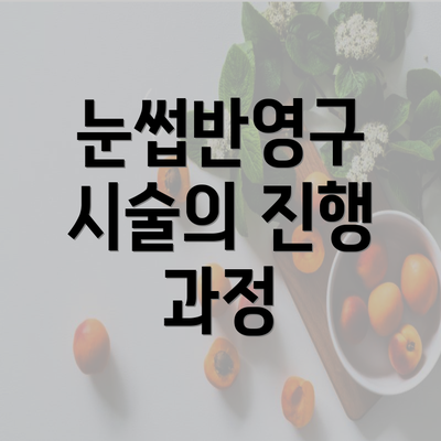 눈썹반영구 시술의 진행 과정