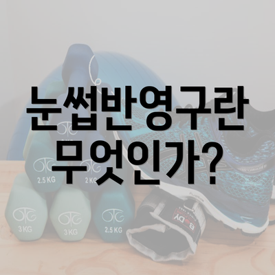 눈썹반영구란 무엇인가?