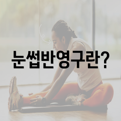 눈썹반영구란?