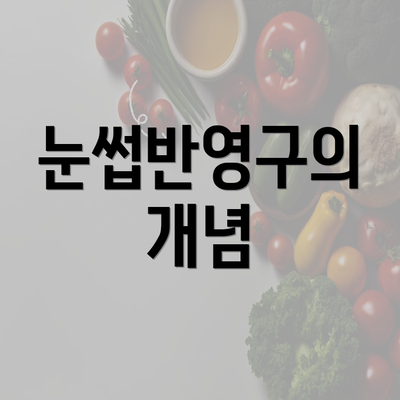 눈썹반영구의 개념