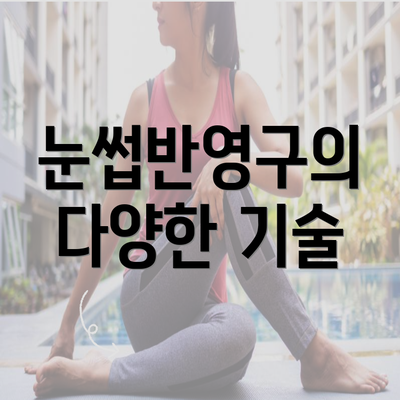 눈썹반영구의 다양한 기술