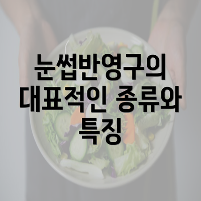 눈썹반영구의 대표적인 종류와 특징