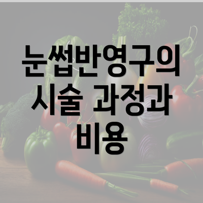 눈썹반영구의 시술 과정과 비용