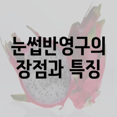 눈썹반영구의 장점과 특징