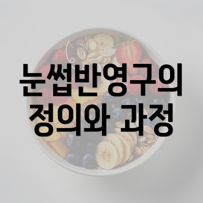 눈썹반영구의 정의와 과정