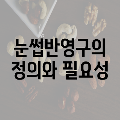 눈썹반영구의 정의와 필요성