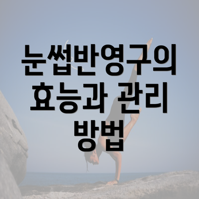 눈썹반영구의 효능과 관리 방법